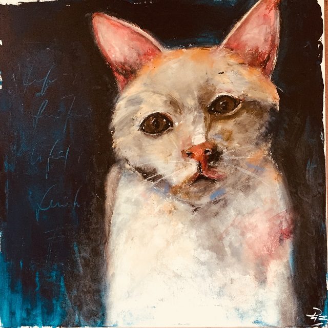 Katze